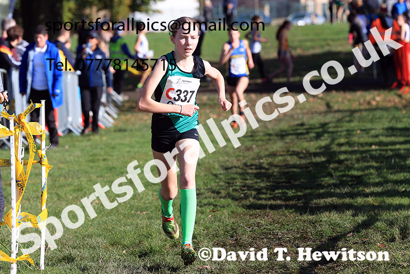 Girls under-15s, 2024 Northern Cross Country Relays, Graves Park, Sheffield.   Photo: David T. Hewitson/Sports for All Pics